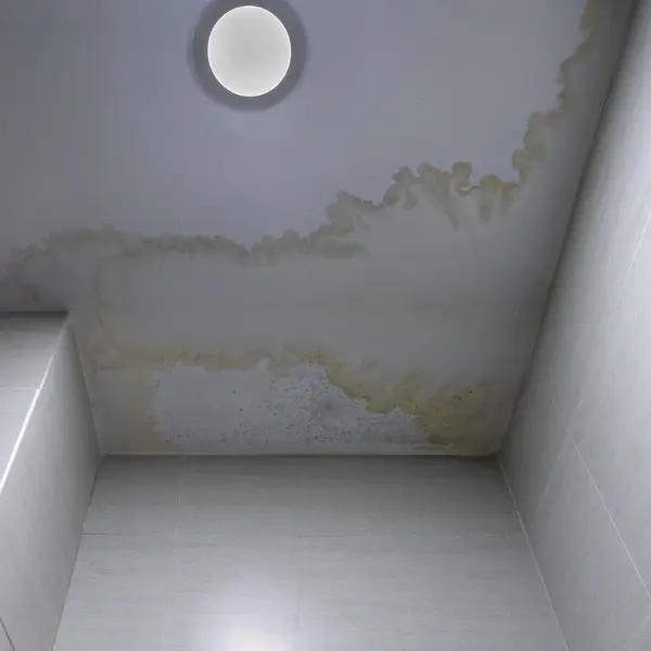 Image showing staining on a home's wall.