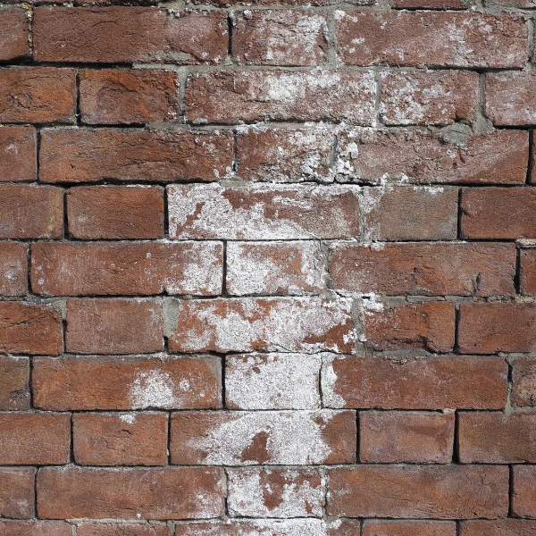 Image showing water damage and efflorescence on brick walls.